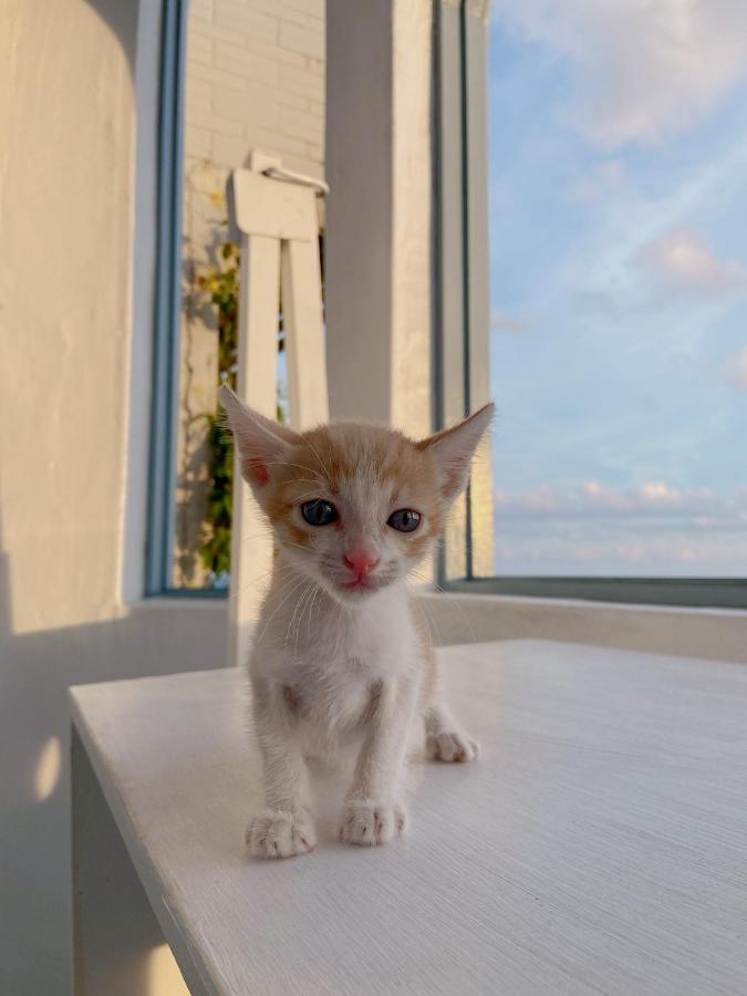 Kenting Met Hi Inn Cape Eluanbi Exterior foto